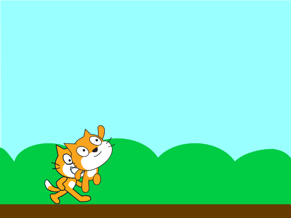 flying cat crash